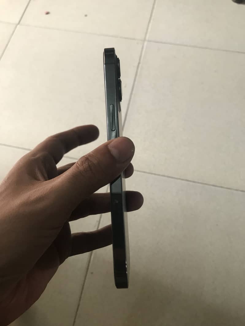 12 pro max 2