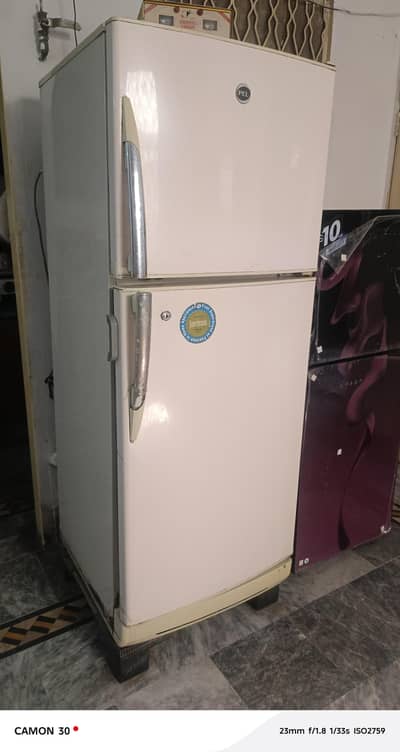 Pel Medium Size Fridge
