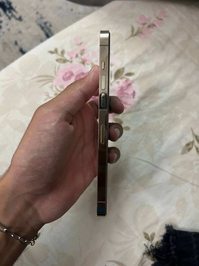 iphone 12 pro max 5