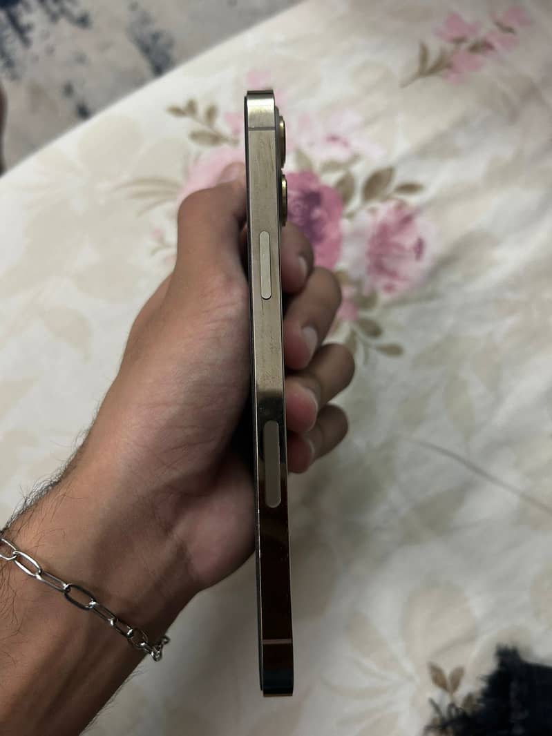 iphone 12 pro max 6