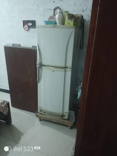 PEL fridge