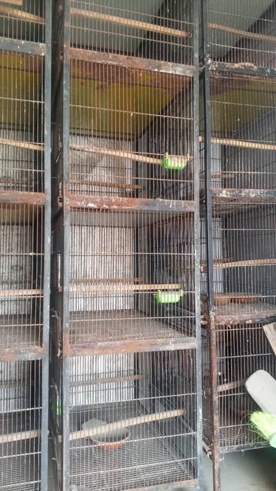 lovebirds cages pots and boxes