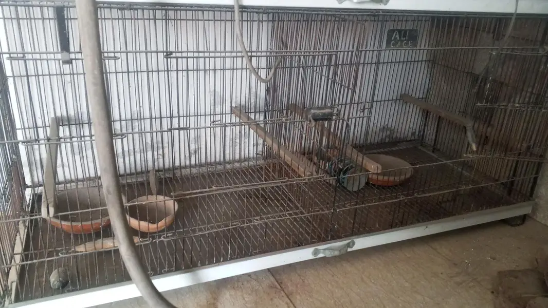 lovebirds cages pots and boxes — photo 4