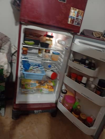 orient fridge
