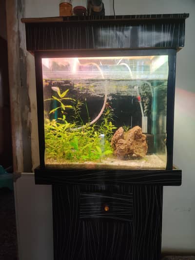 Aquarium Up for Sale