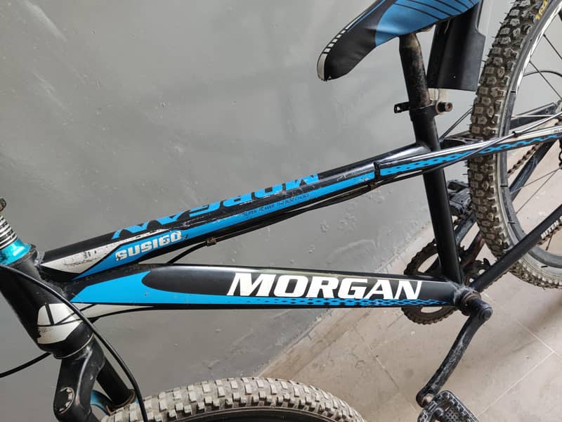 Morgan cycle 2