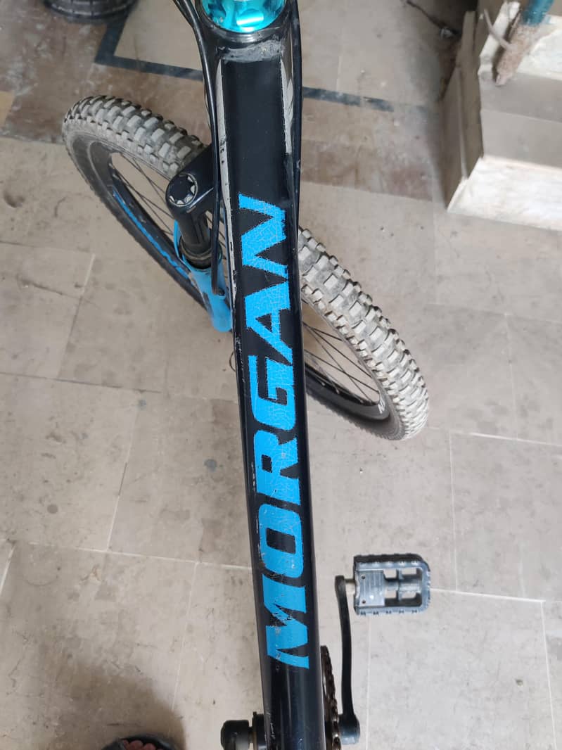 Morgan cycle 12