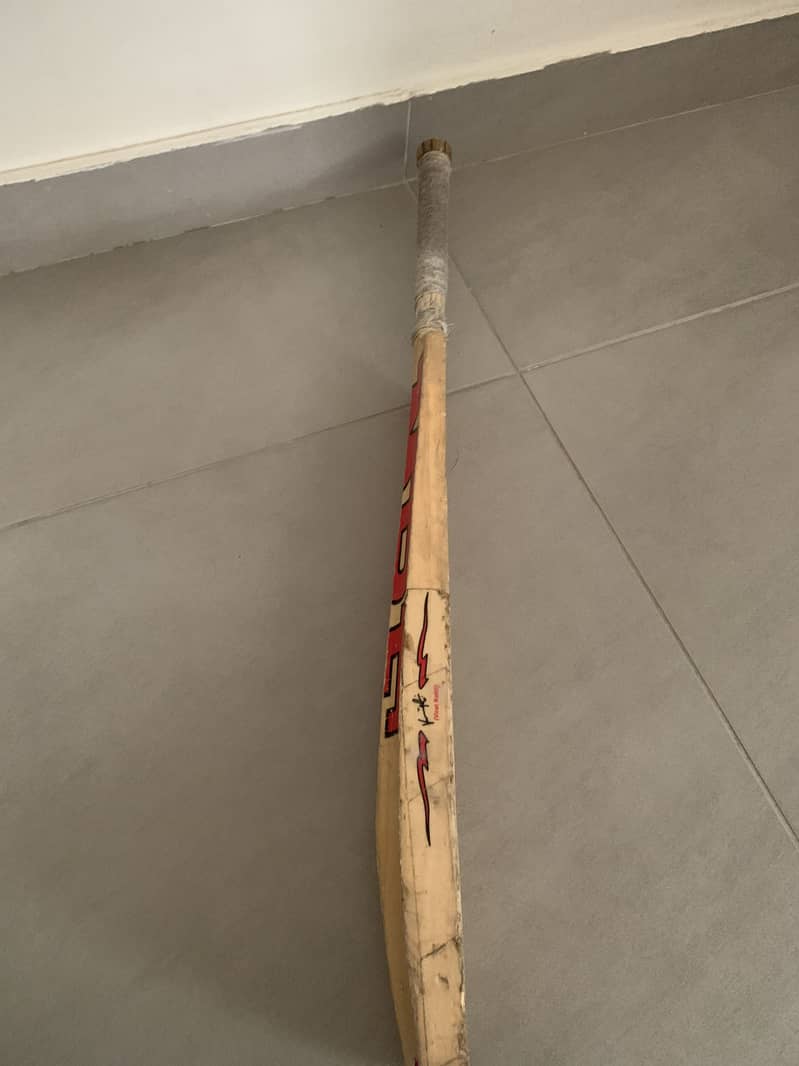 Cricket  bat 1