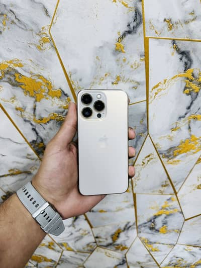 iPhone 13pro