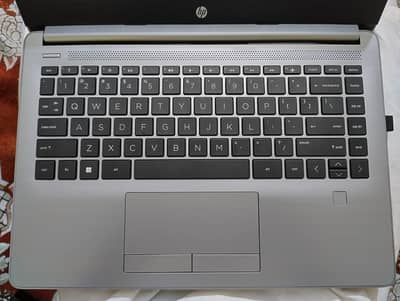 HP Notebook Ryzen 3 8GB RAM 256GB SSD Radeon Graphics Laptop