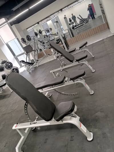 Commercial Gym Bench, Multi Bench, Bench Press Local Or Imported