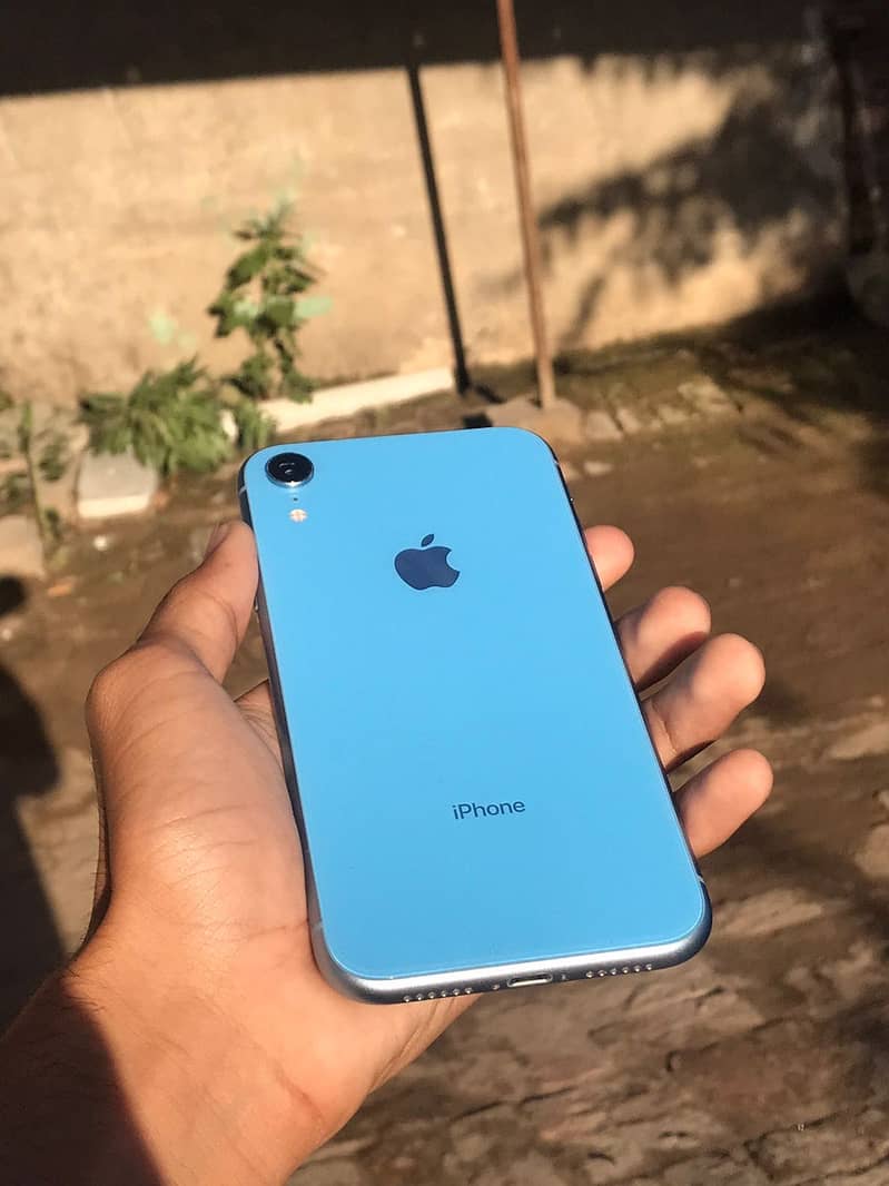 iPhone XR 1