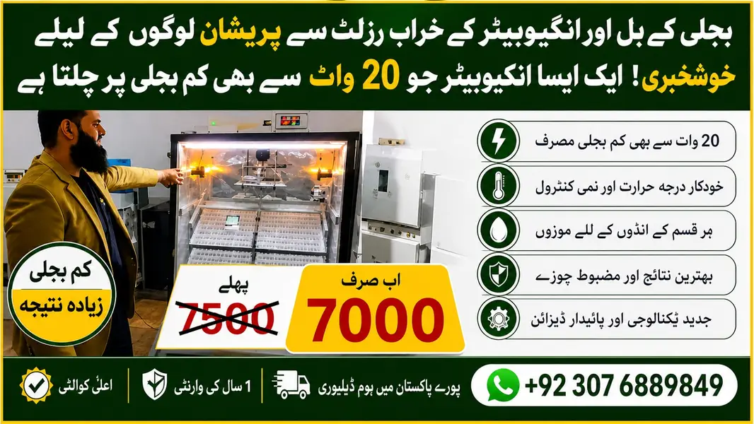 Energy saver incubator 10 watt | Egg hatching | egg machine| incubator