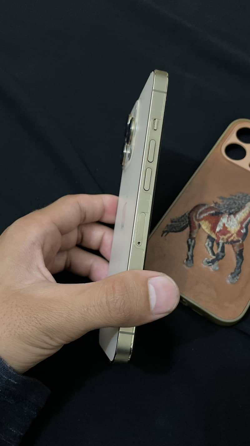 Iphone 13 pro 3