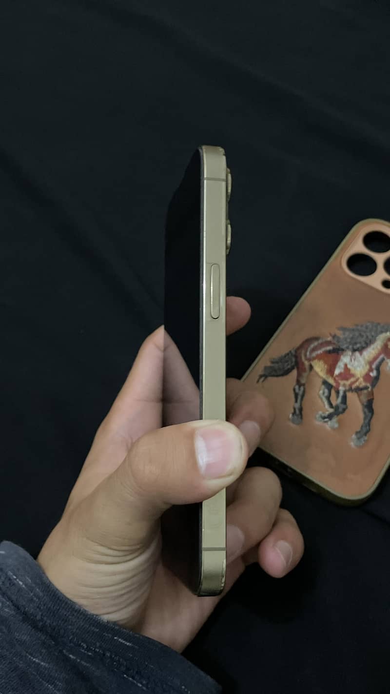Iphone 13 pro 5