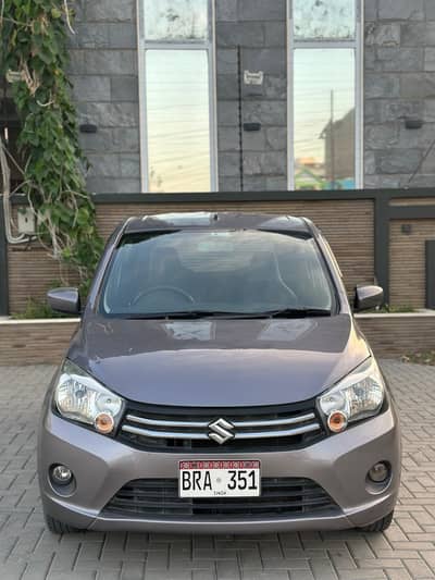 Suzuki 2019