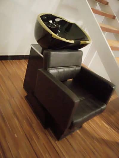 Salon chairs Luxury Professional Hydraulic Salon Chair