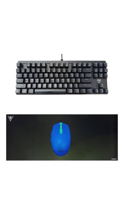 T-Dagger T-TGK302 Keyboard + Logitech G102 Mouse + Mouse/Desk Pad