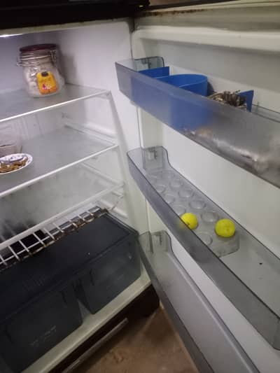 Gree freezers