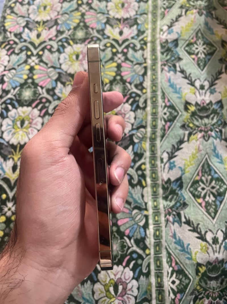 Iphone 13 pro 2