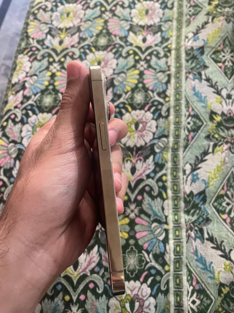 Iphone 13 pro 3