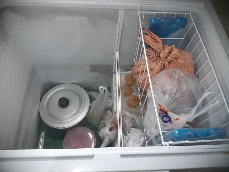 single door deepfreezer 1