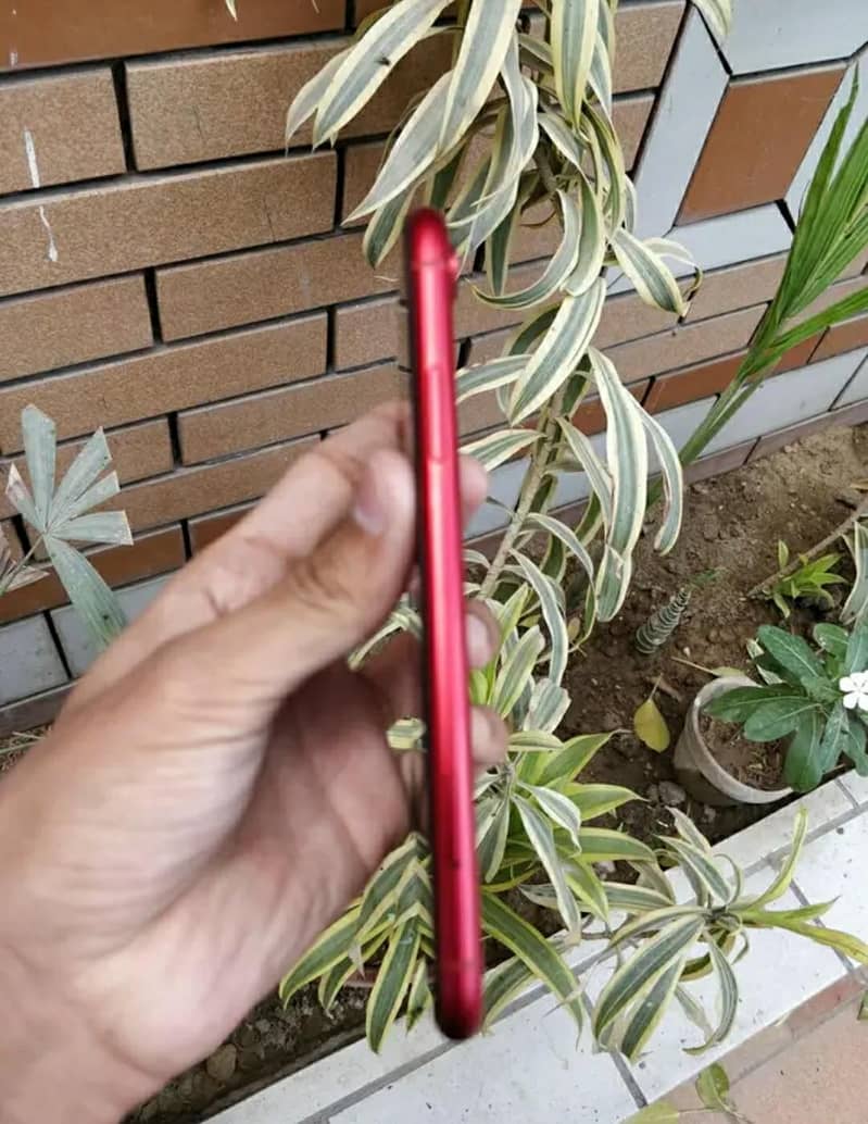 IPHONE XR 3