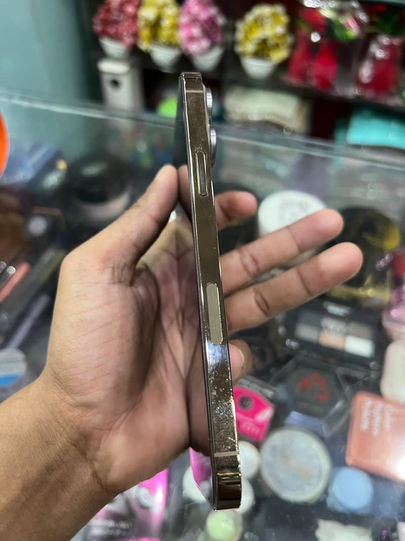 iphone 13 pro max 2