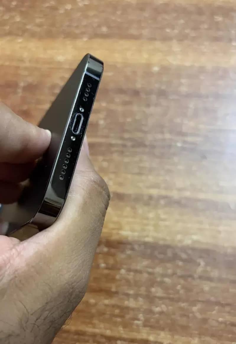 Iphone 13 pro max 1
