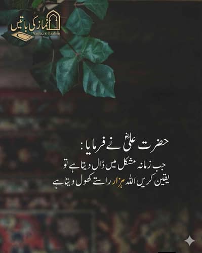 Malik Mohsin