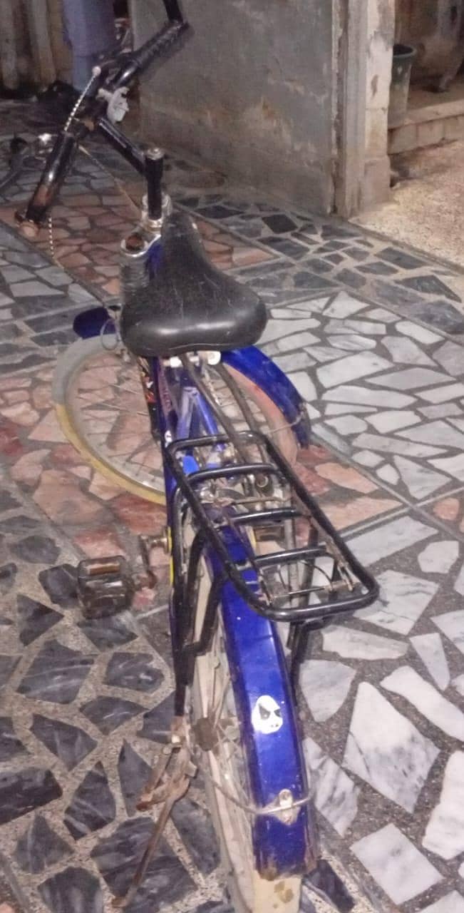 Bicycle 1