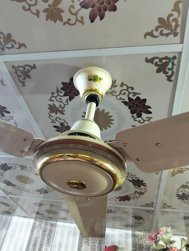 Ceiling fan 2