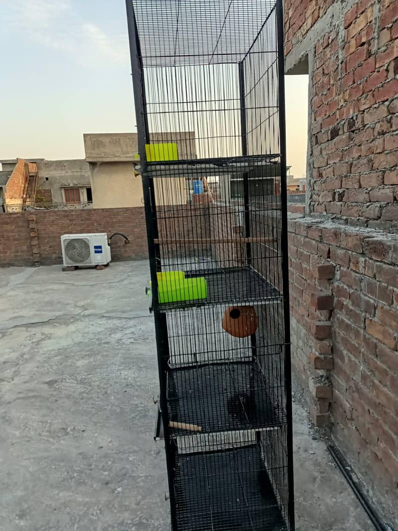 Cage 4 portion 1