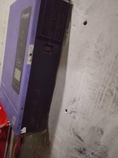 3 kgg