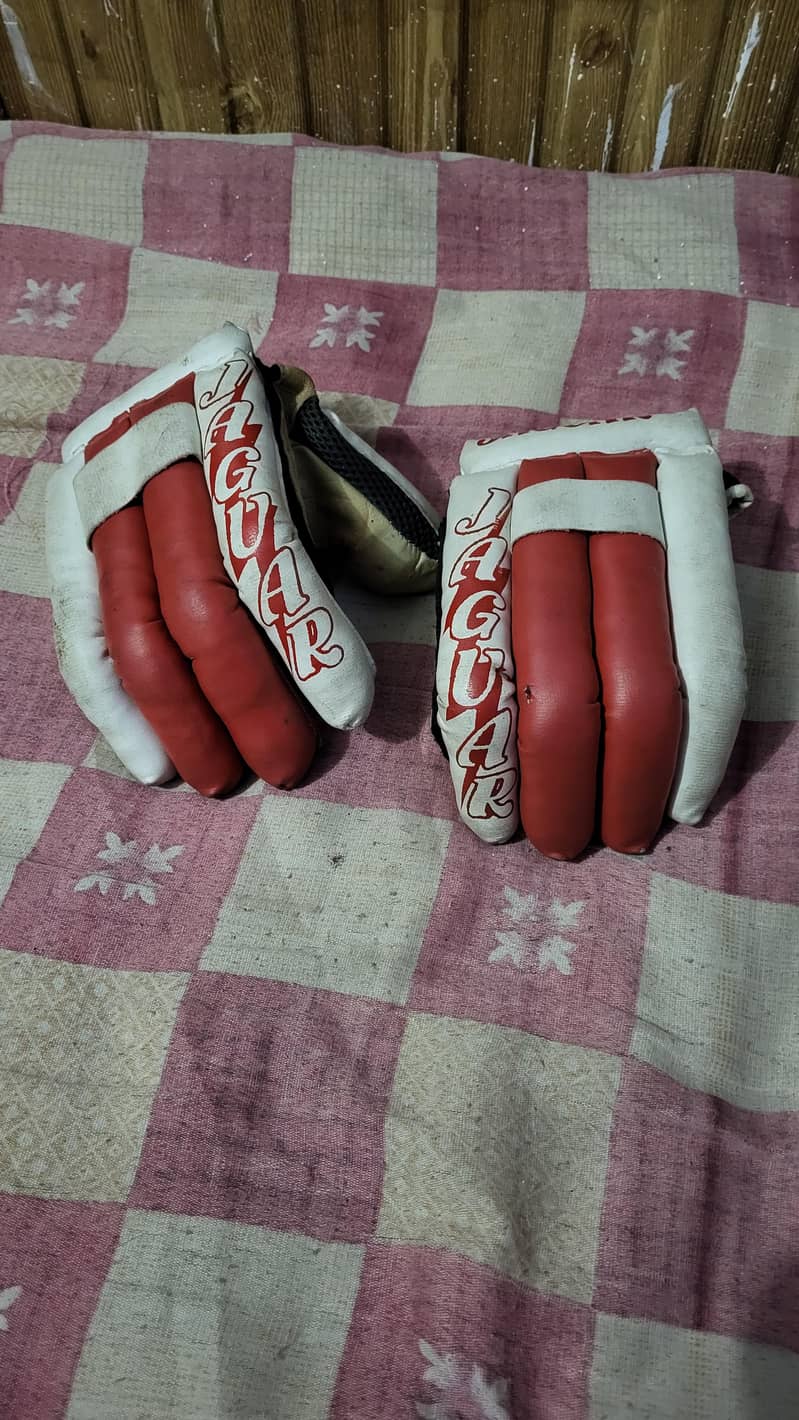Cricket Kit 4