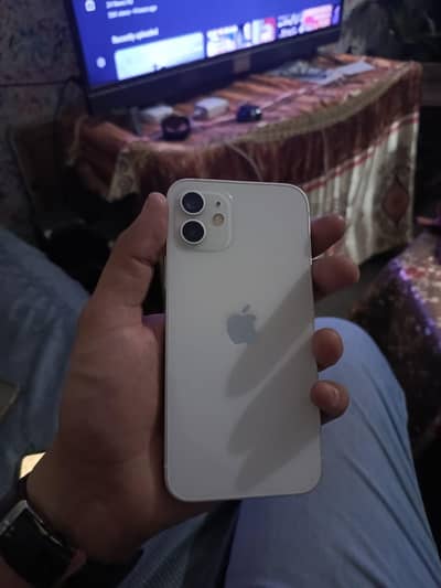 iPhone 12 Unofficial PTA