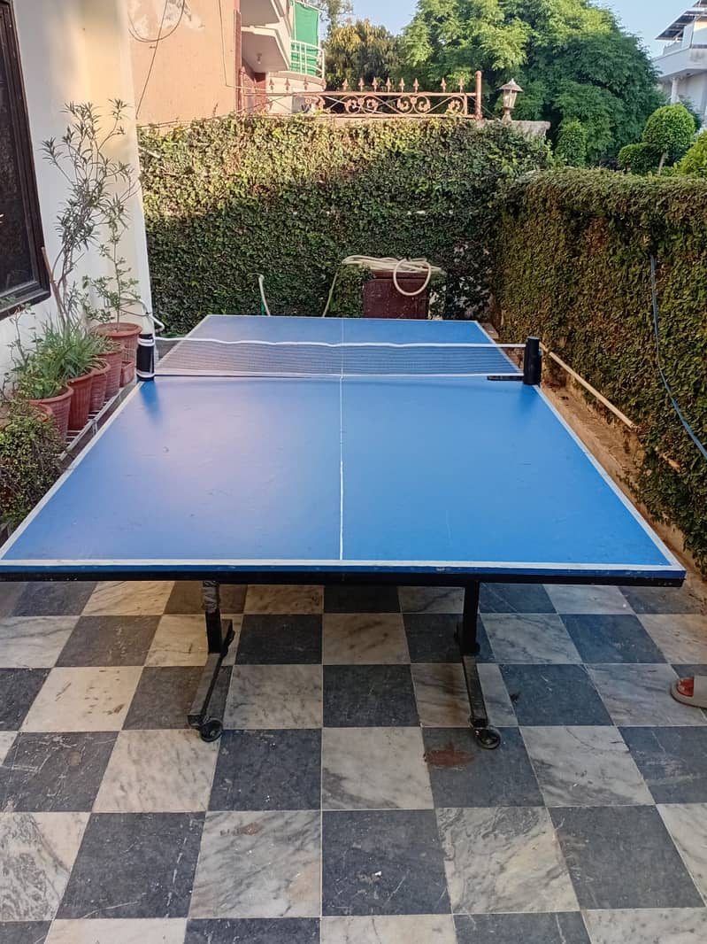 Foldable  Table Tennis Table 0