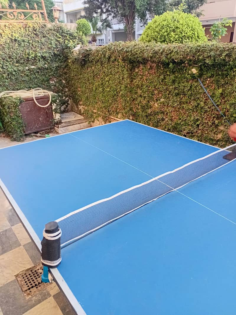 Foldable  Table Tennis Table 4
