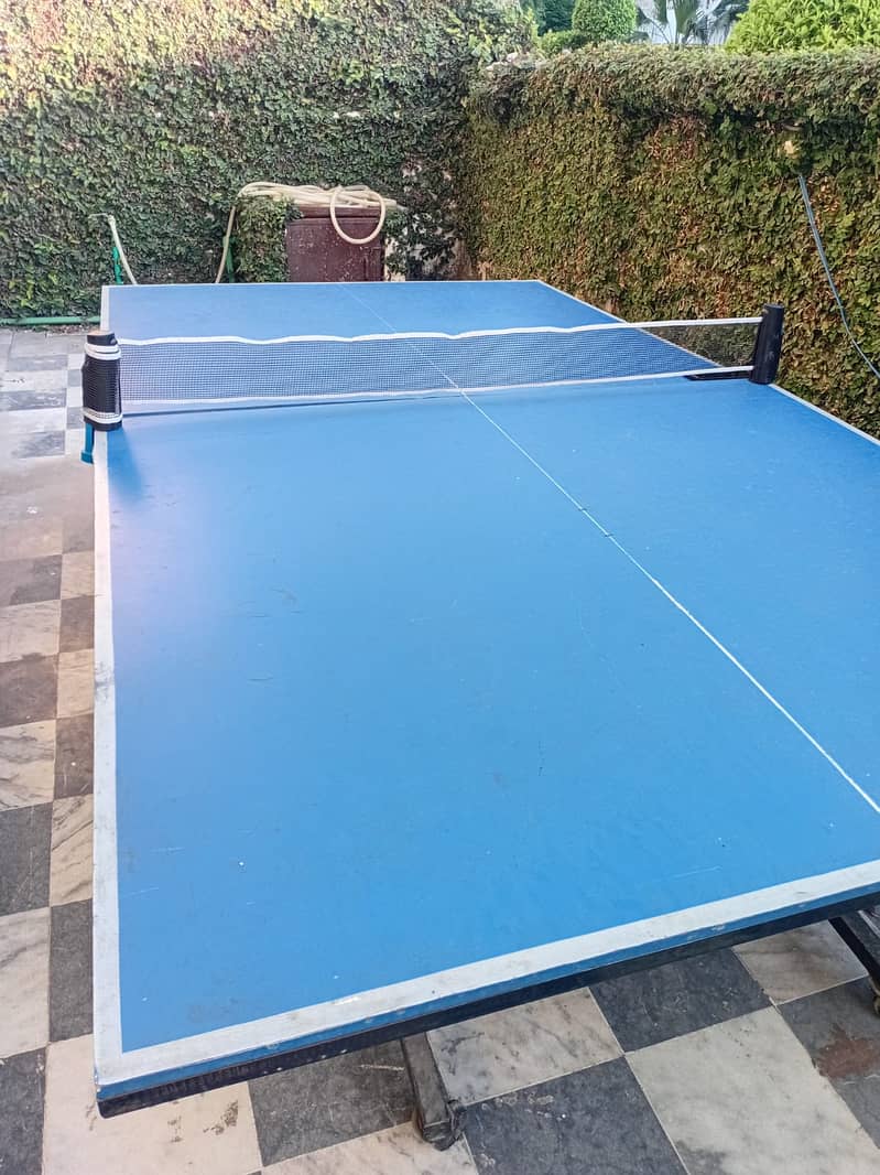 Foldable  Table Tennis Table 5