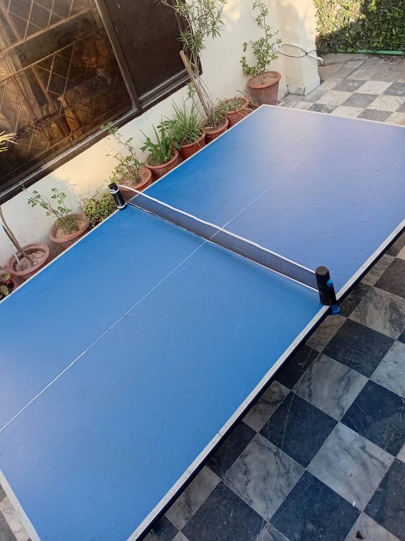 Foldable  Table Tennis Table 6