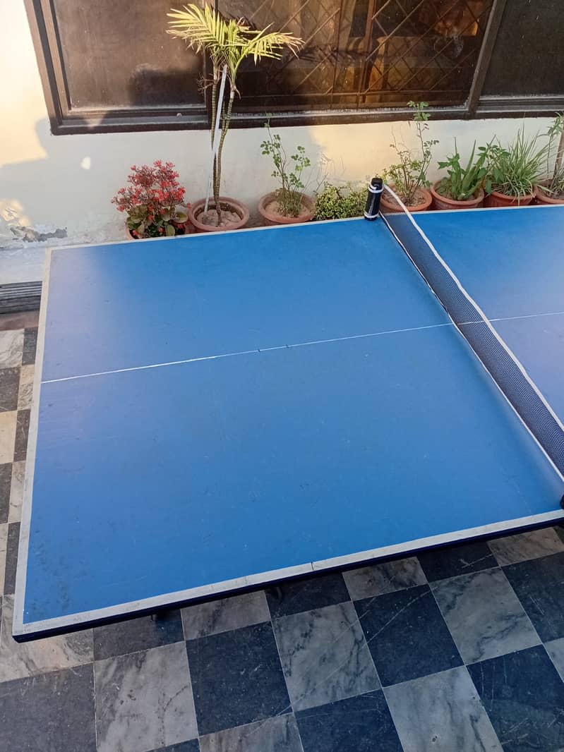 Foldable  Table Tennis Table 7