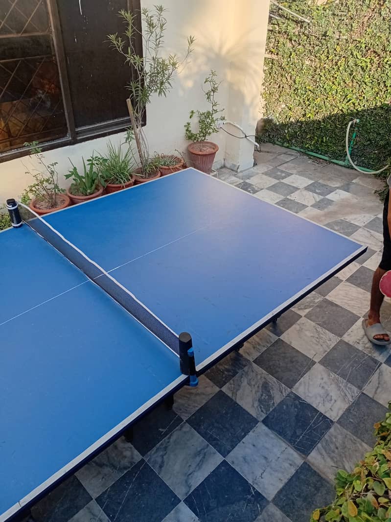Foldable  Table Tennis Table 8