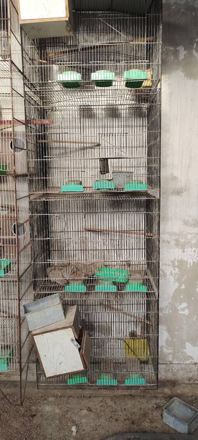 birds cags 2+1.50 love birds cags