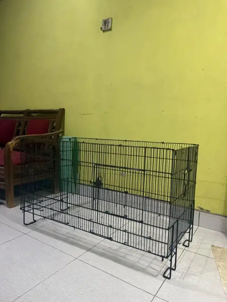 Birds Cage Zarar