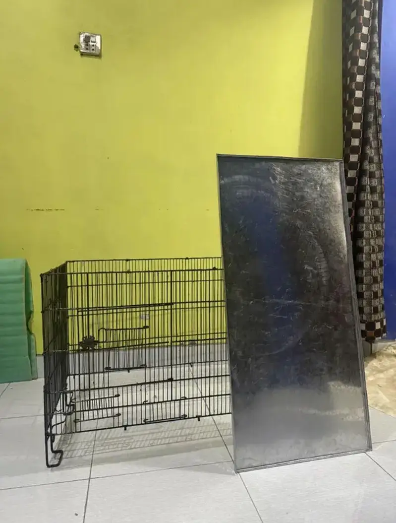 Birds Cage Zarar — photo 2