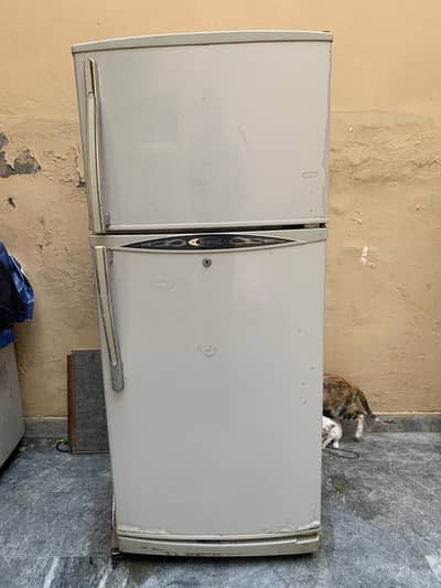 Waves Fridge