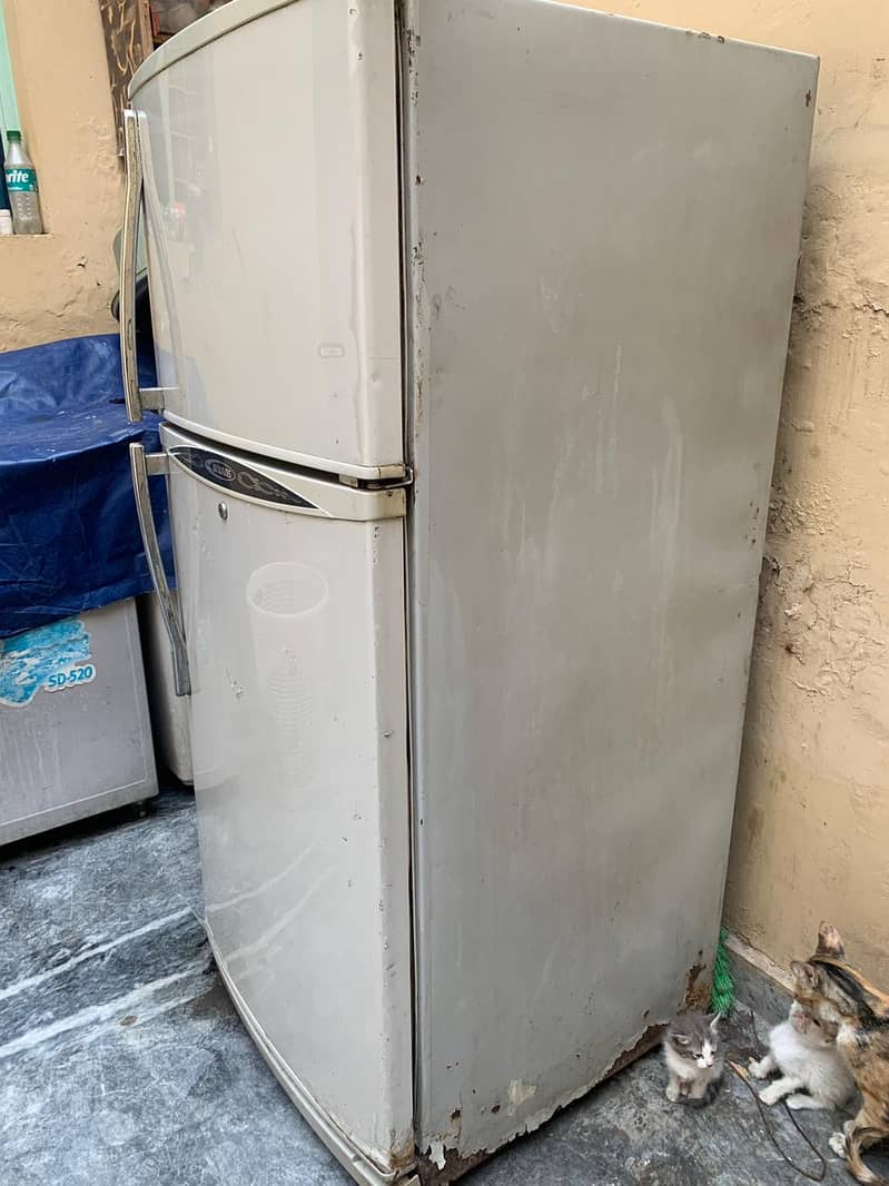 Waves Fridge 1