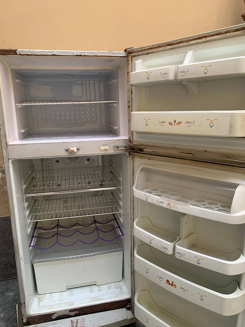 Waves Fridge 3
