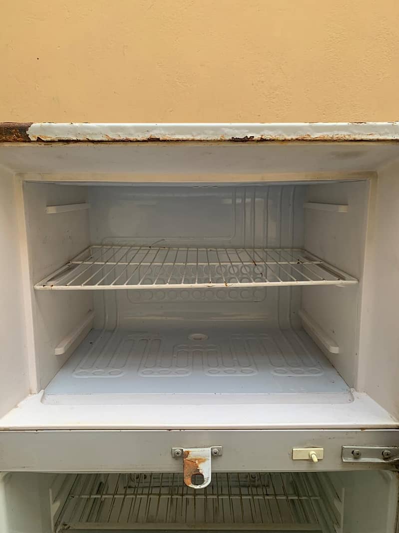 Waves Fridge 4