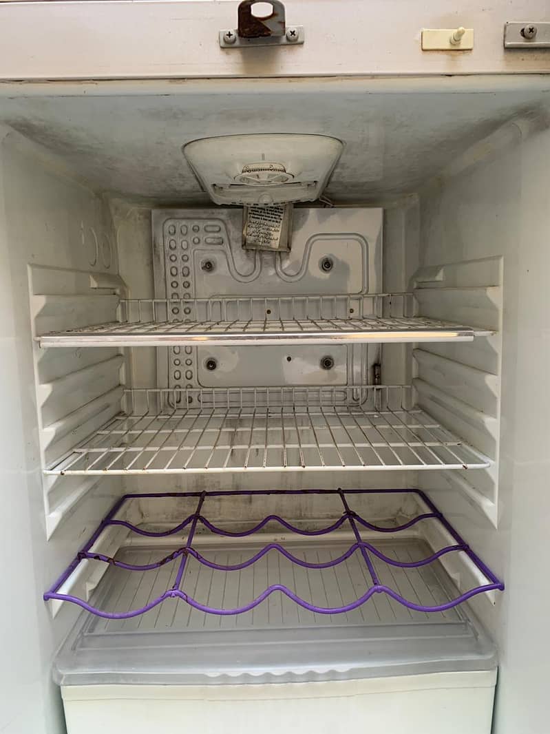 Waves Fridge 5